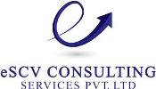 escv consulting services private limited | payroll services in new delhi