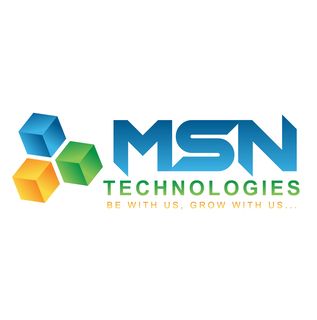 msn technologies | digital marketing in delhi