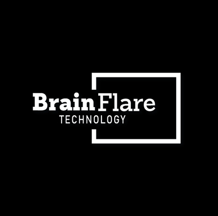 brain flare technologies | web development company in casper