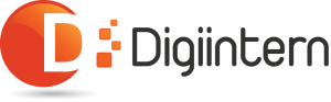 digiintern | seo services in bahadur garh