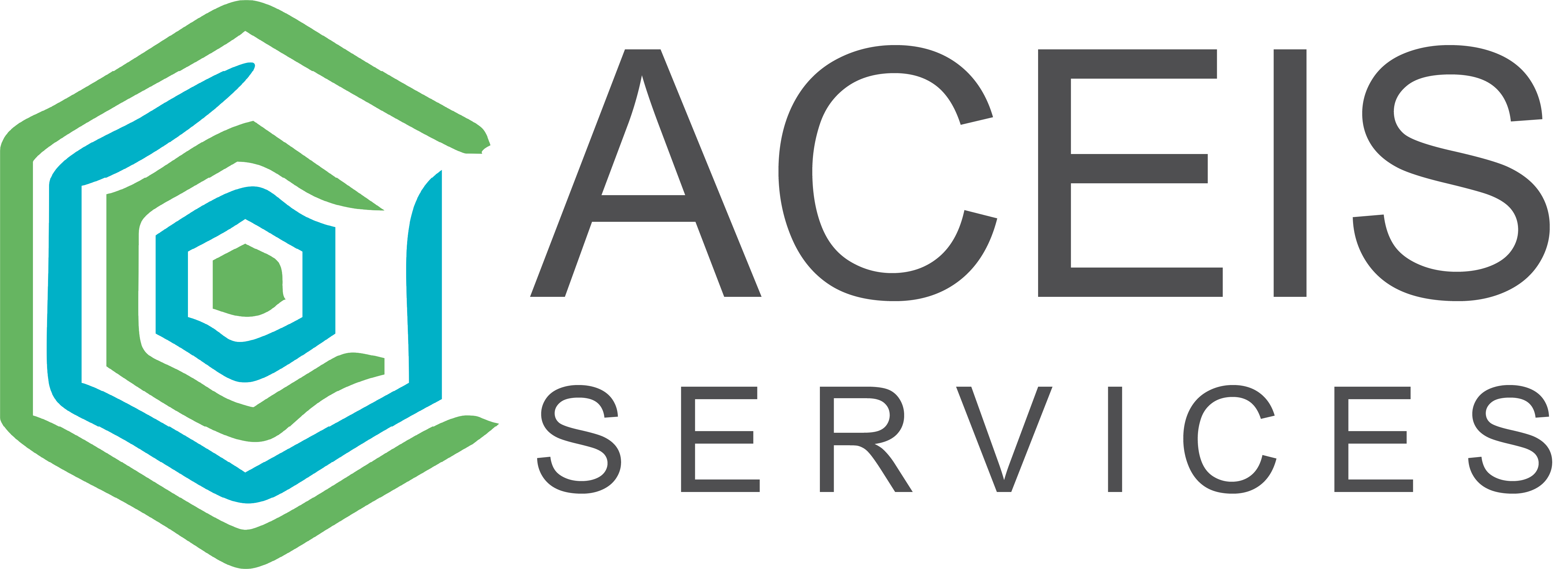 aceis services | staffing in pune