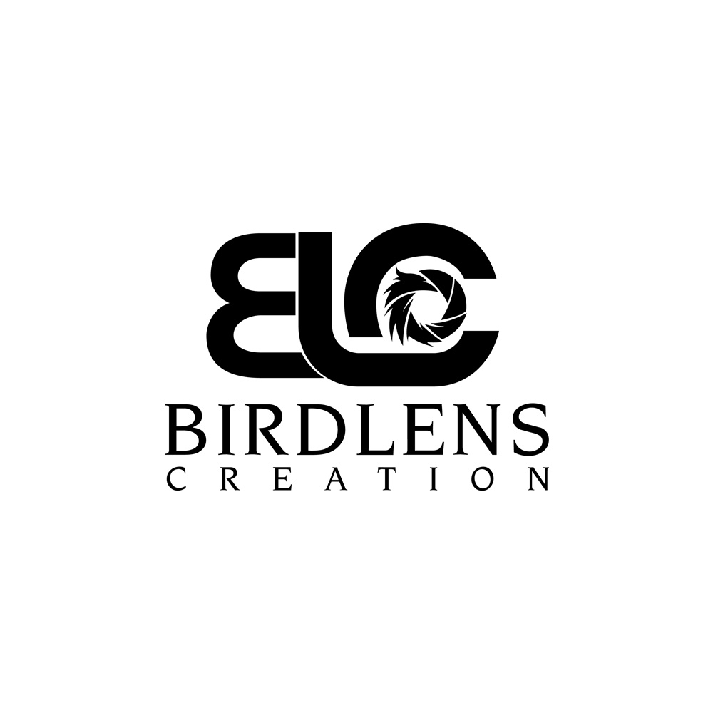 birdlens creation | best pre wedding & baby photographers in kolkata | photography in kolkata (wb)