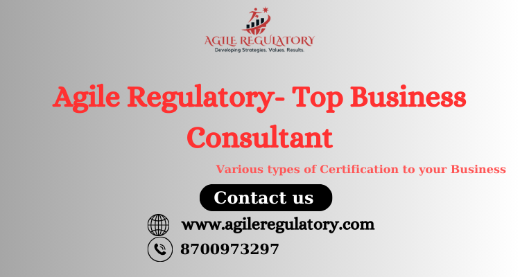 agile regulatory | business service in noida