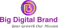 big digital brand :digital marketing company in jhotwara jaipur | digital marketing in jaipur