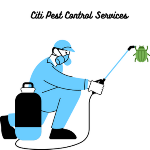 citi pest control services | pest control services in pune