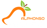 alphonso mangoes | buy it online in sindhudurg