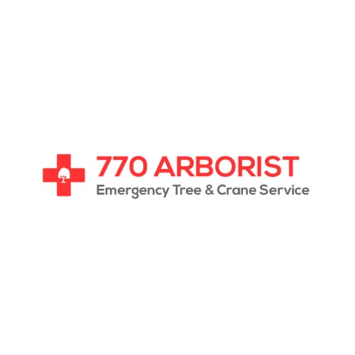 770 arborist emergency tree & crane service | tree cutting services in atlanta