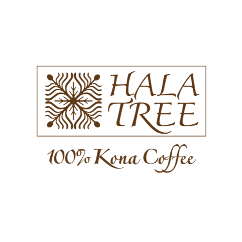 hala tree coffee | food and beverage in captain cook