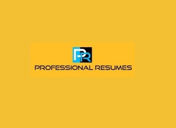 professional resumes | resume writing service in noida