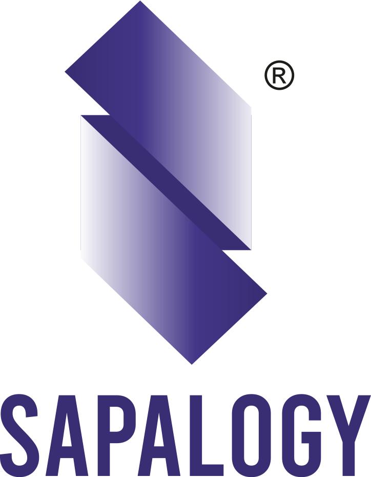 sapalogy training | computer institute in nagpur
