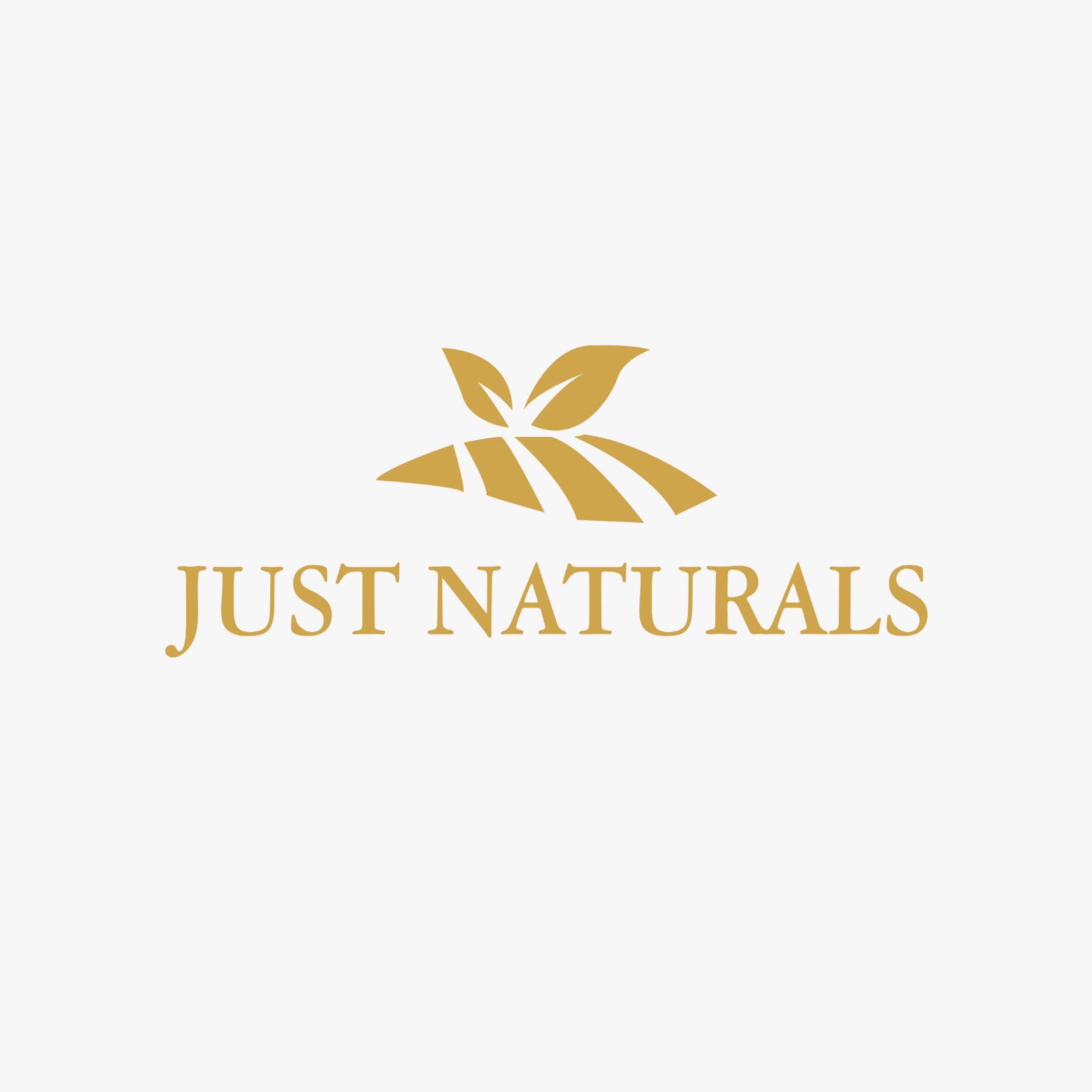 just naturals wellness resort | hotels in nainital