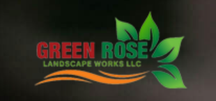 green rose | garden in dubai