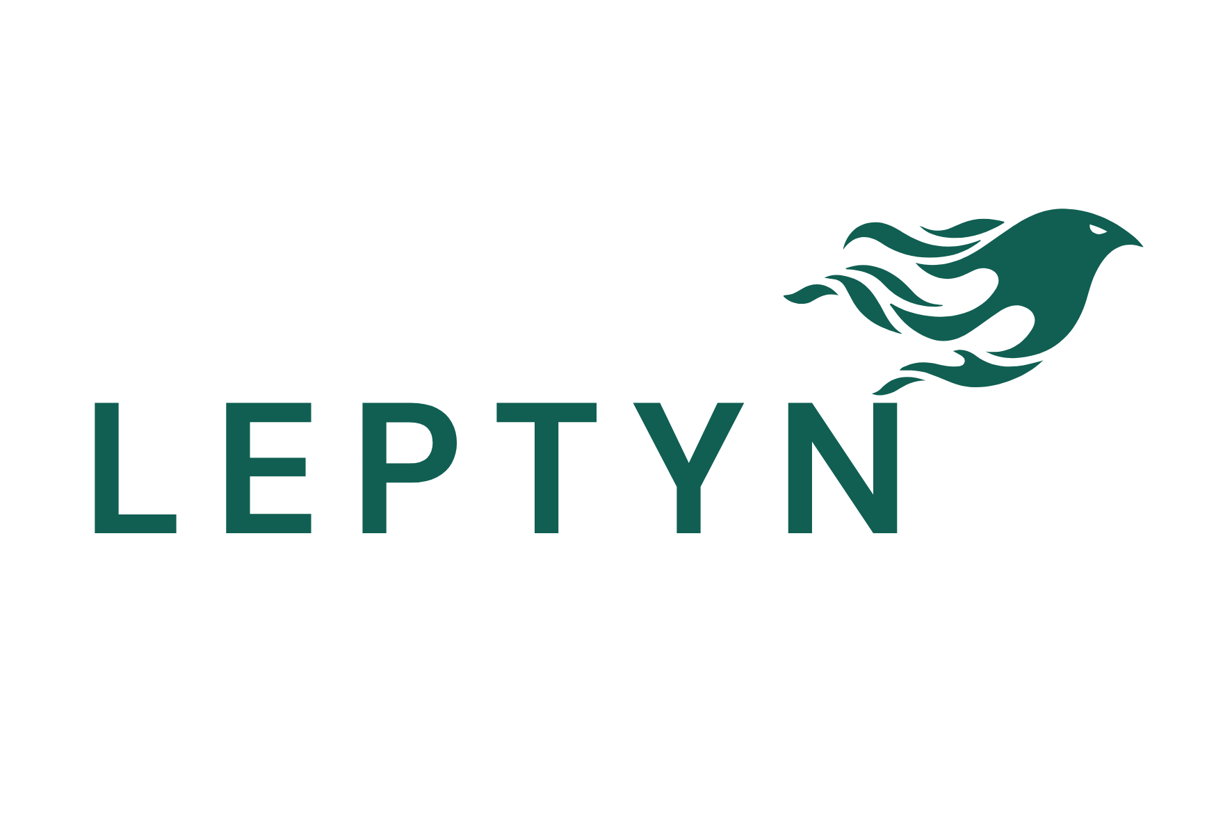 leptyn | health and fitness in chennai