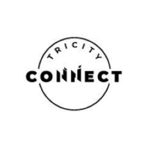 tricity connect | it services in mohali