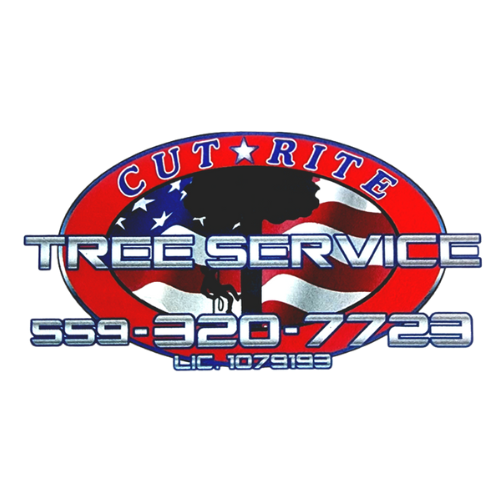 cut rite tree service fresno | tree cutting services in fresno