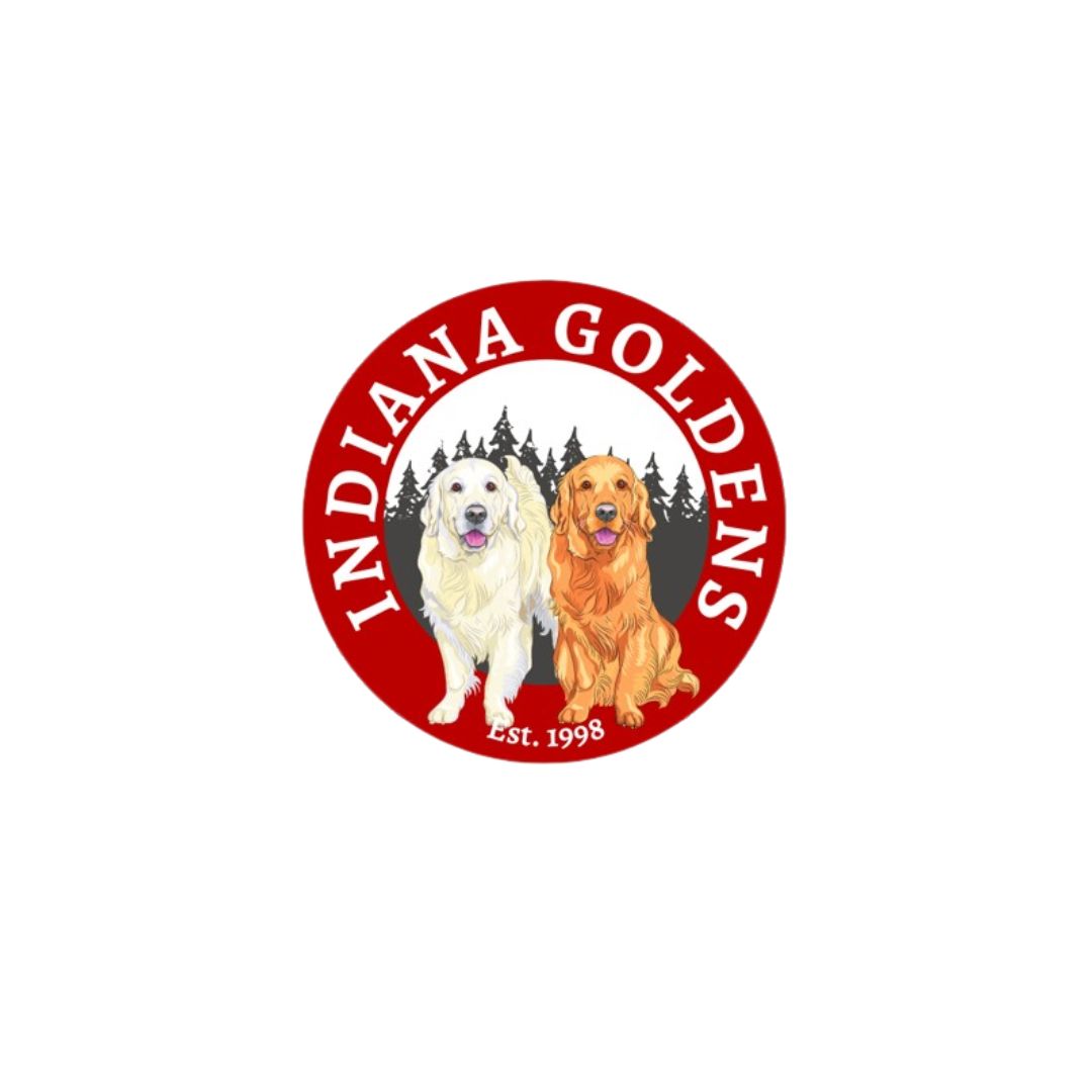 indiana goldens | animal shelters in bedford