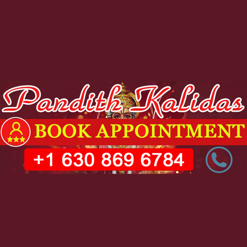 famous psychic in chicago - pandit kalidas | astrologer in naperville