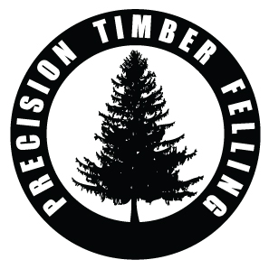 precision timber felling | tree cutting services in loveland