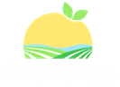 fruit bags | order fruits online in mumbai