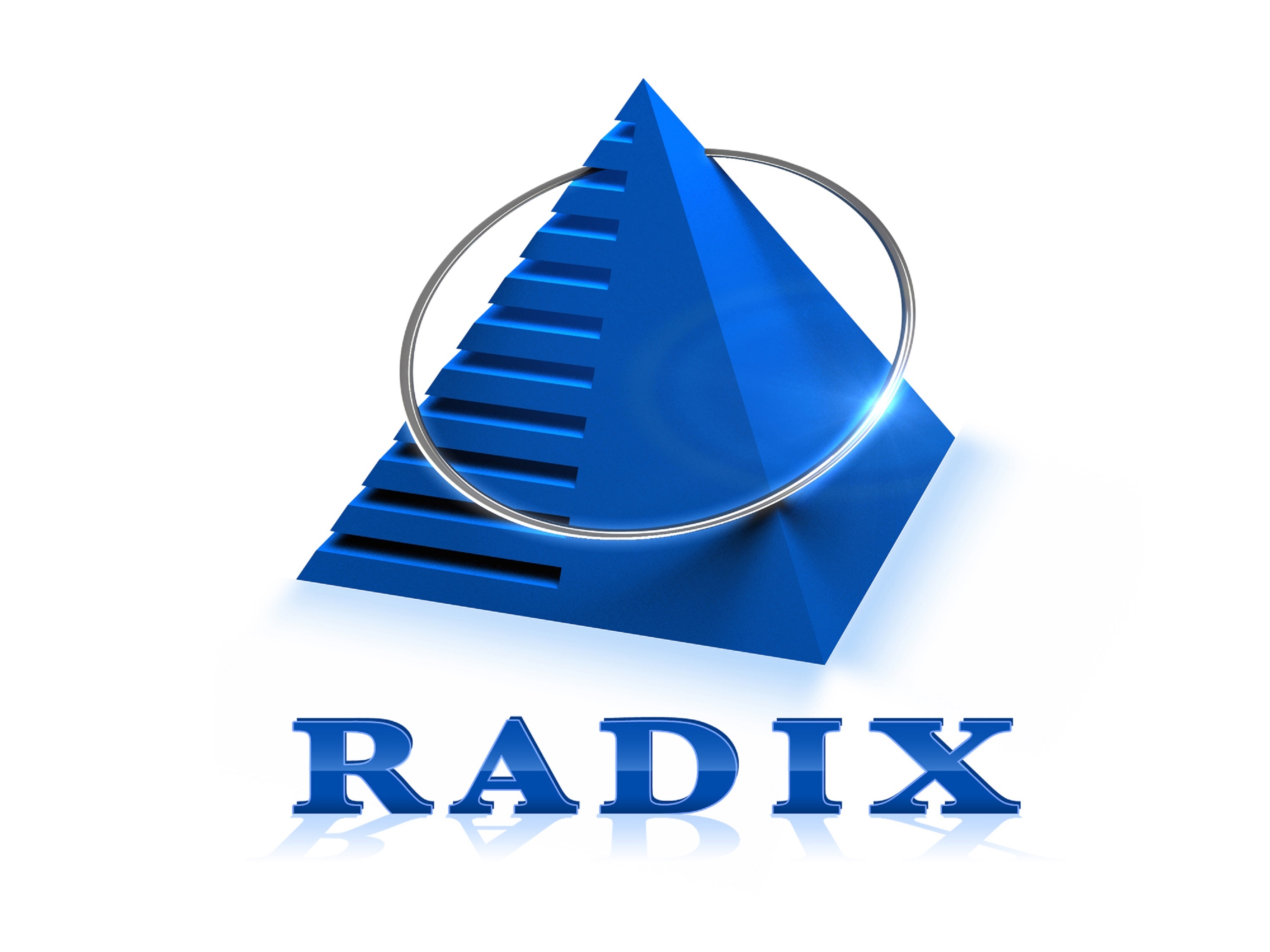 radixweb | software development in california