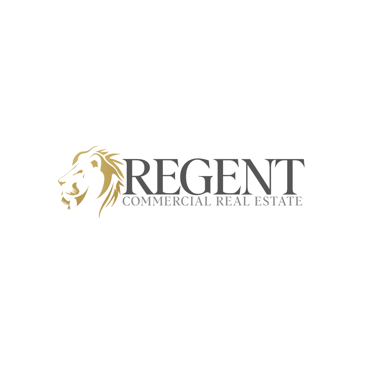 regent commercial real estate | real estate in charlotte