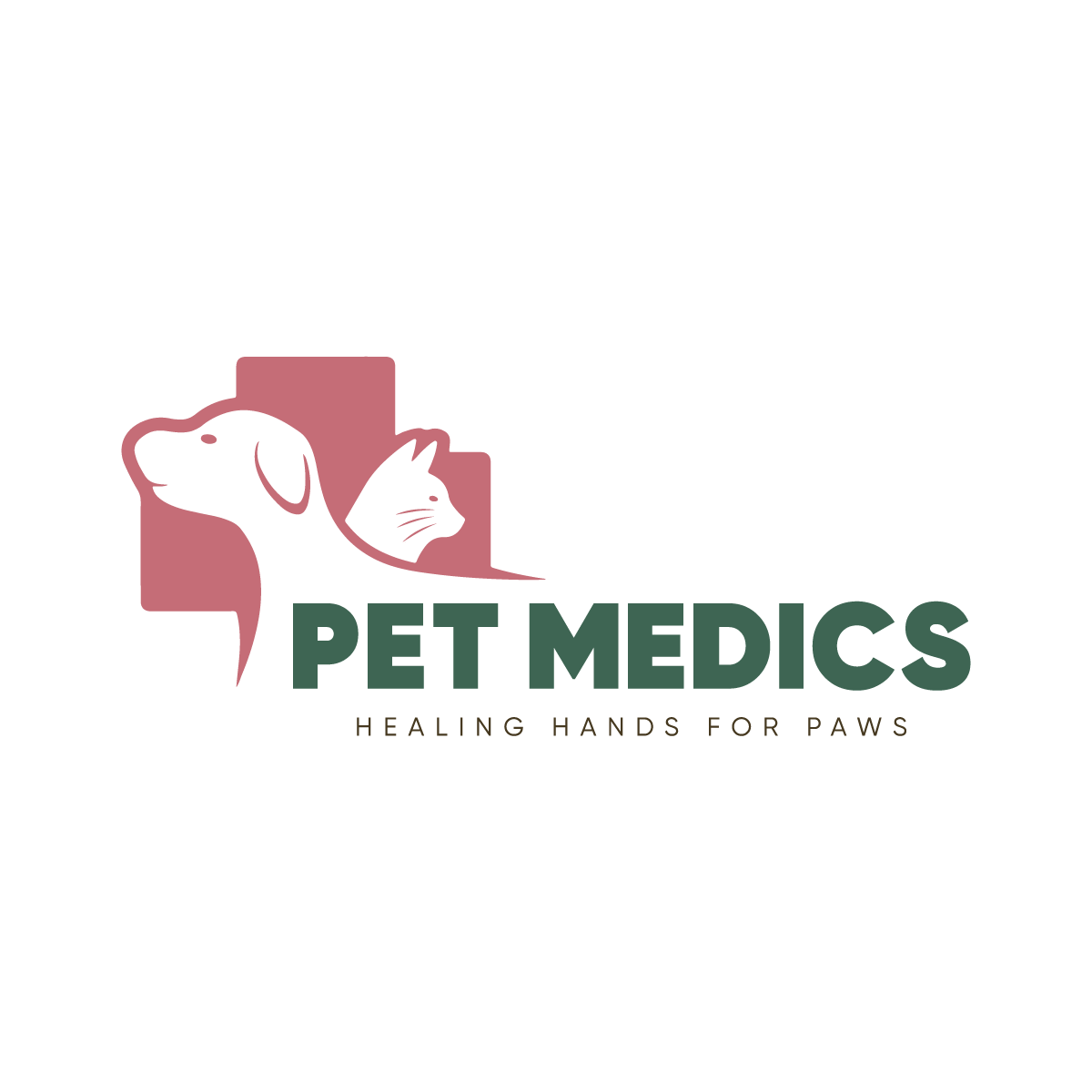 pet medics vikasnagar | veterinarians in dehradun