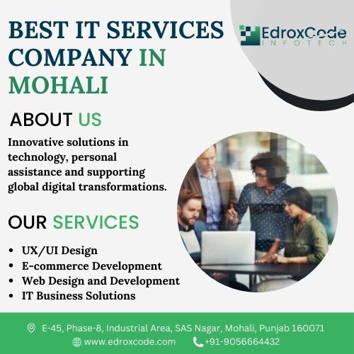 edroxcode infotech | business service in mohali