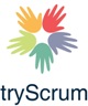 tryscrum | pspo certification in chennai