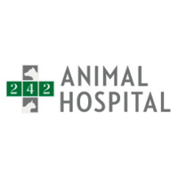 242 animal hospital | veterinarians in conroe