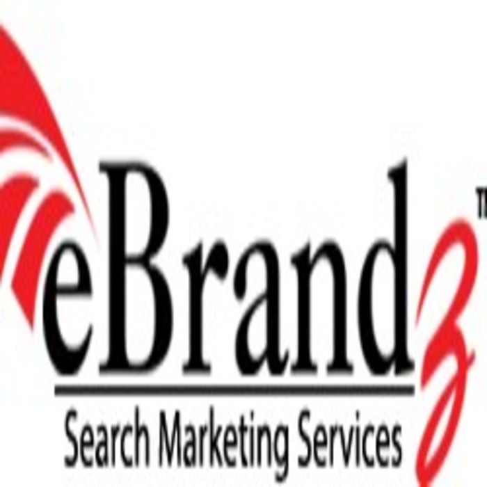 ebrandz inc | marketing in new york