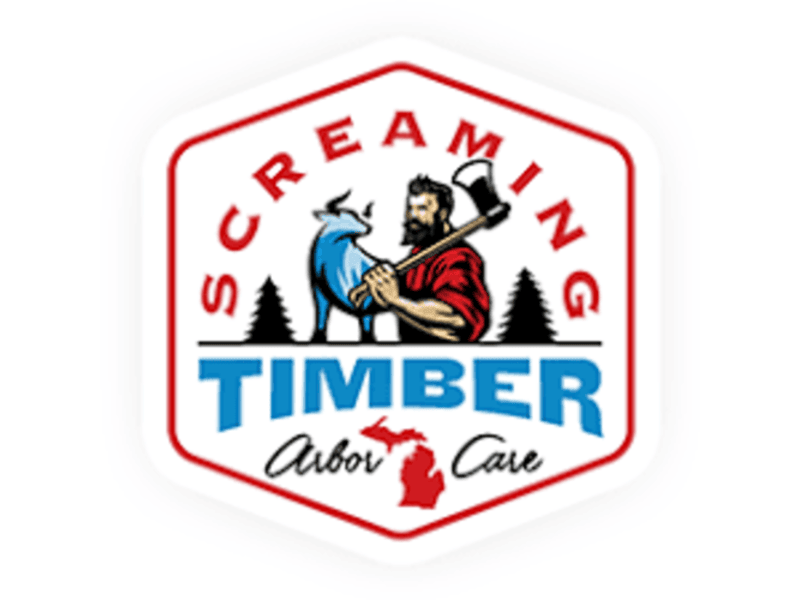 screaming timber arbor care | tree cutting services in holland