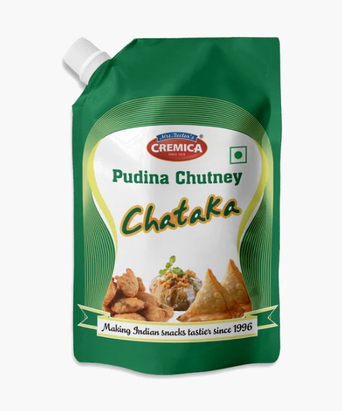 buy pudina chutney online in india | business service in new delhi