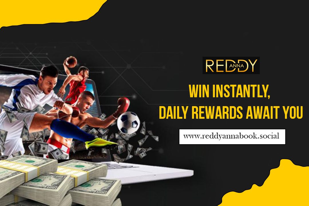 reddy anna book | financial in pune