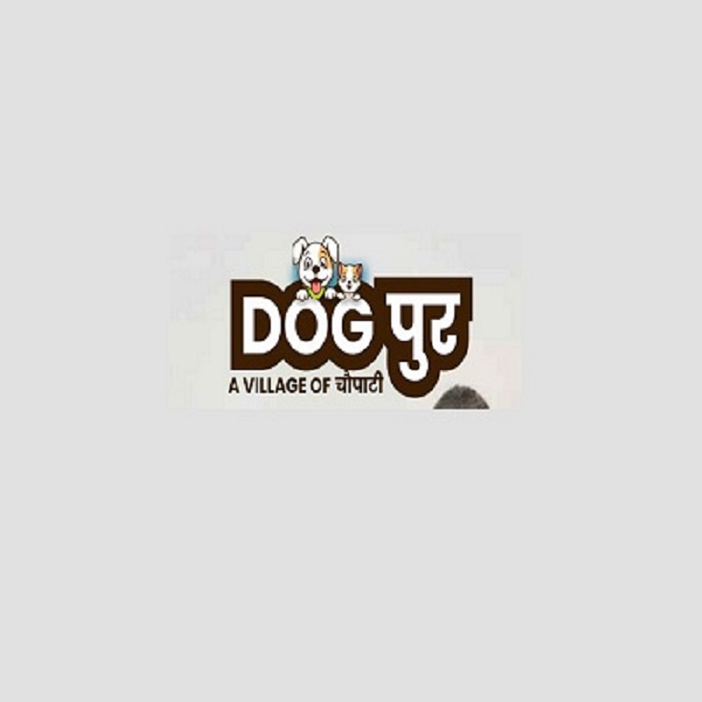 dog pur - pet shop | pet services in jaipur