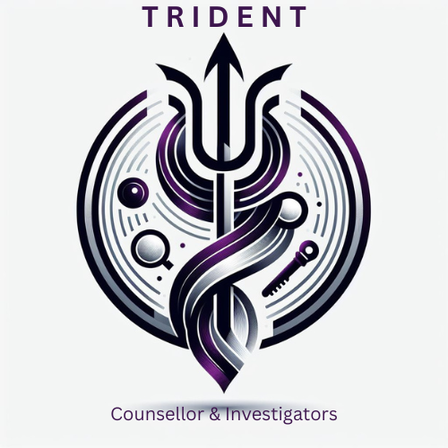 trident investigations network | detective in delhi