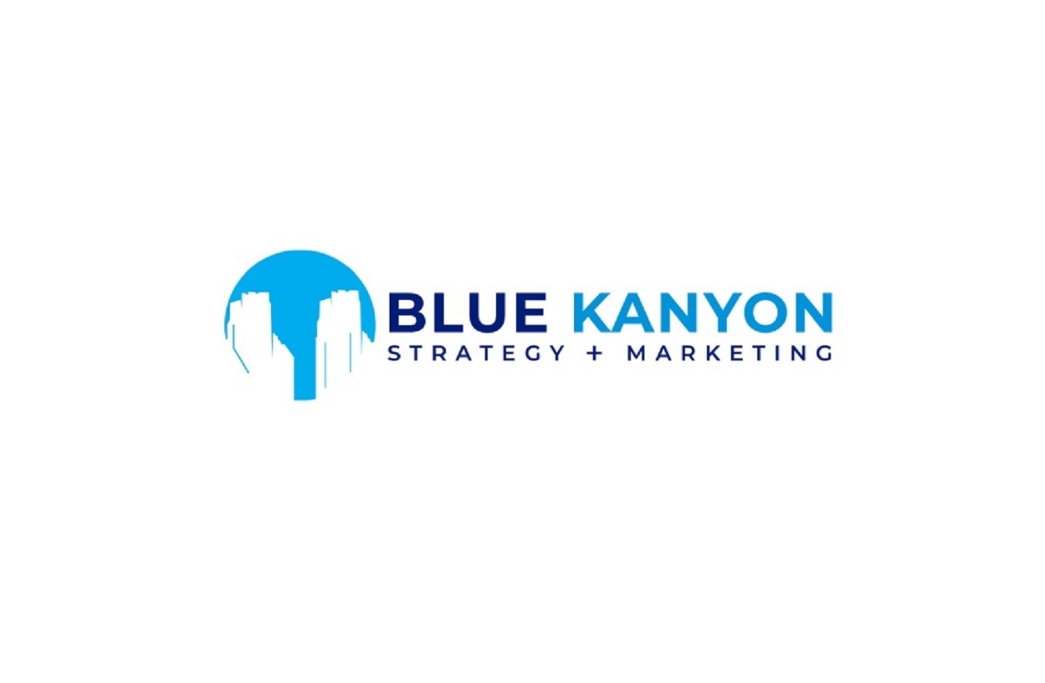 blue kanyon | digital marketing in newark