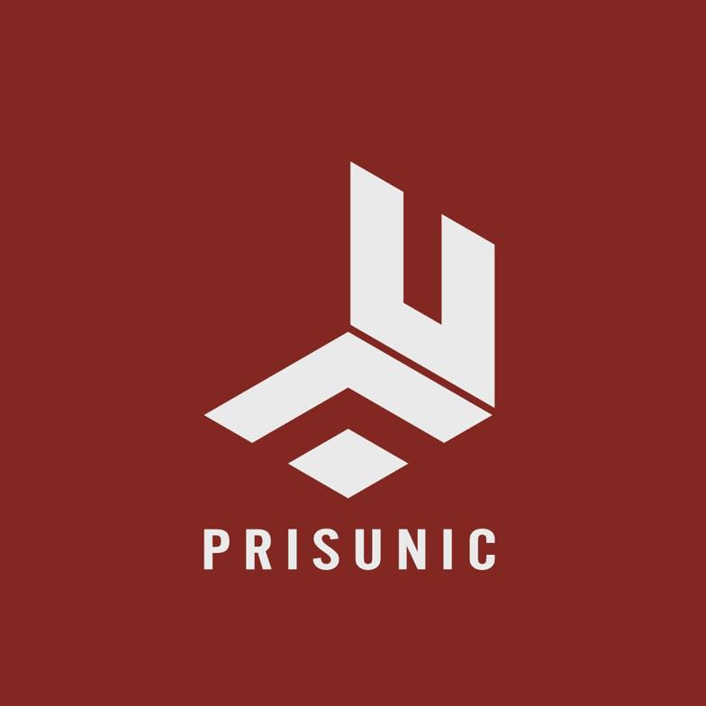 prisunic builders | construction in calicut