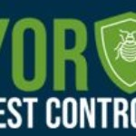 yor-pest control | pest control services in york