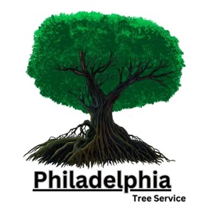 philadelphia tree services | tree cutting services in philadelphia