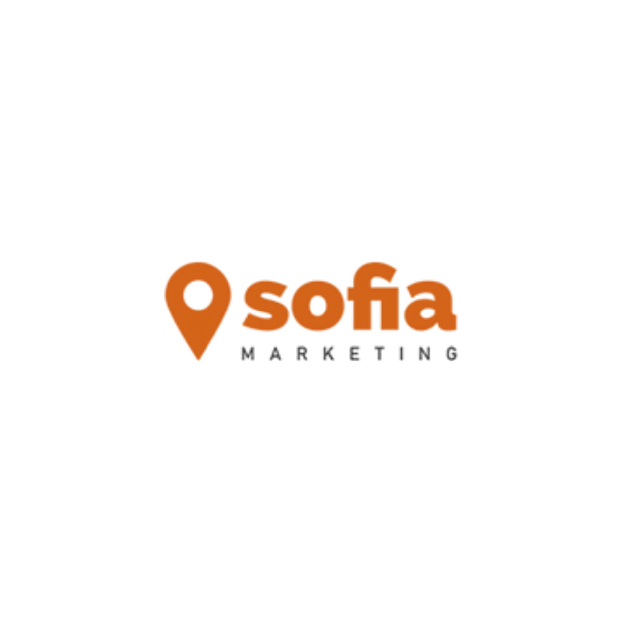 sofia dallas seo | marketing in dallas