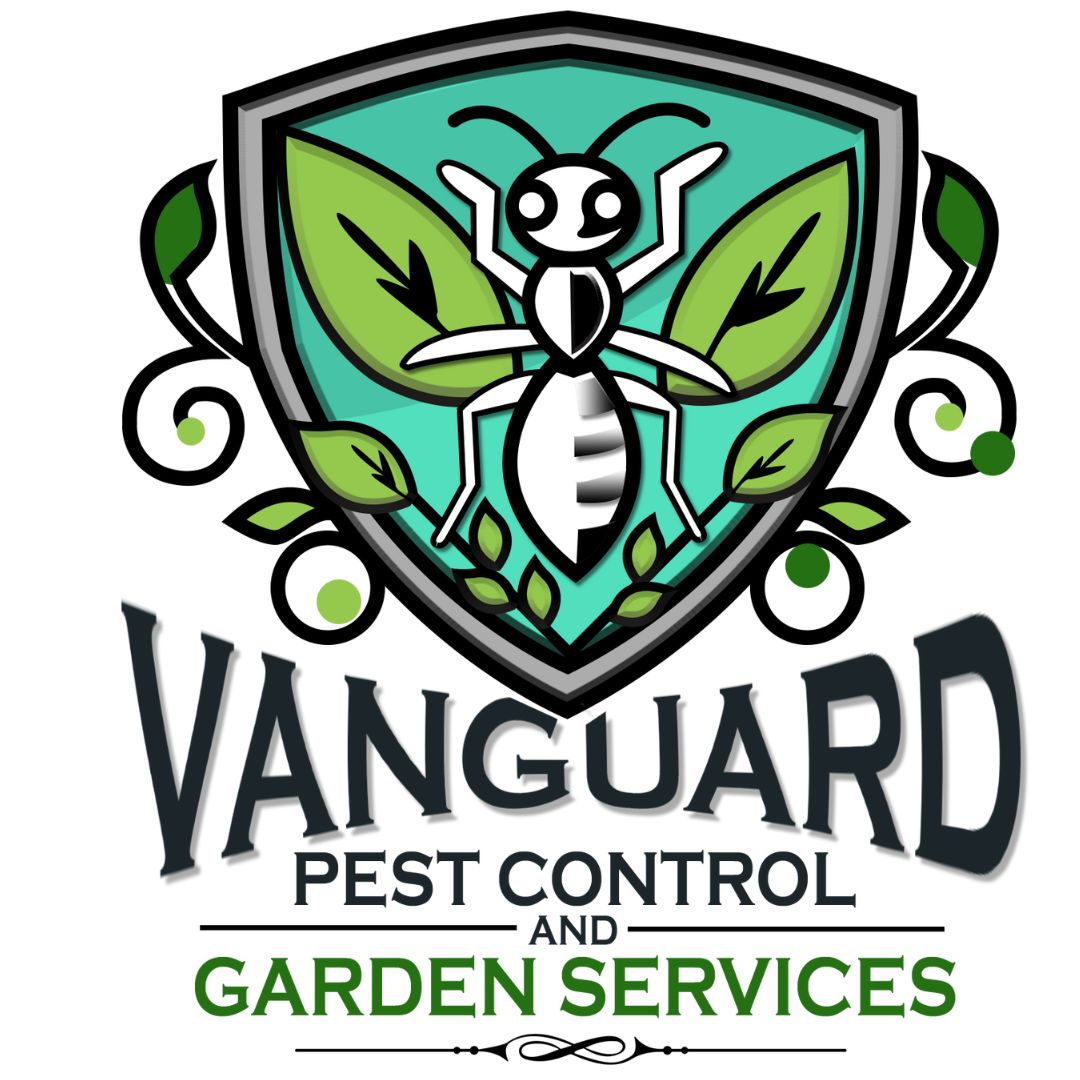 rodent control melbourne | pest control in melbourne vic, australia