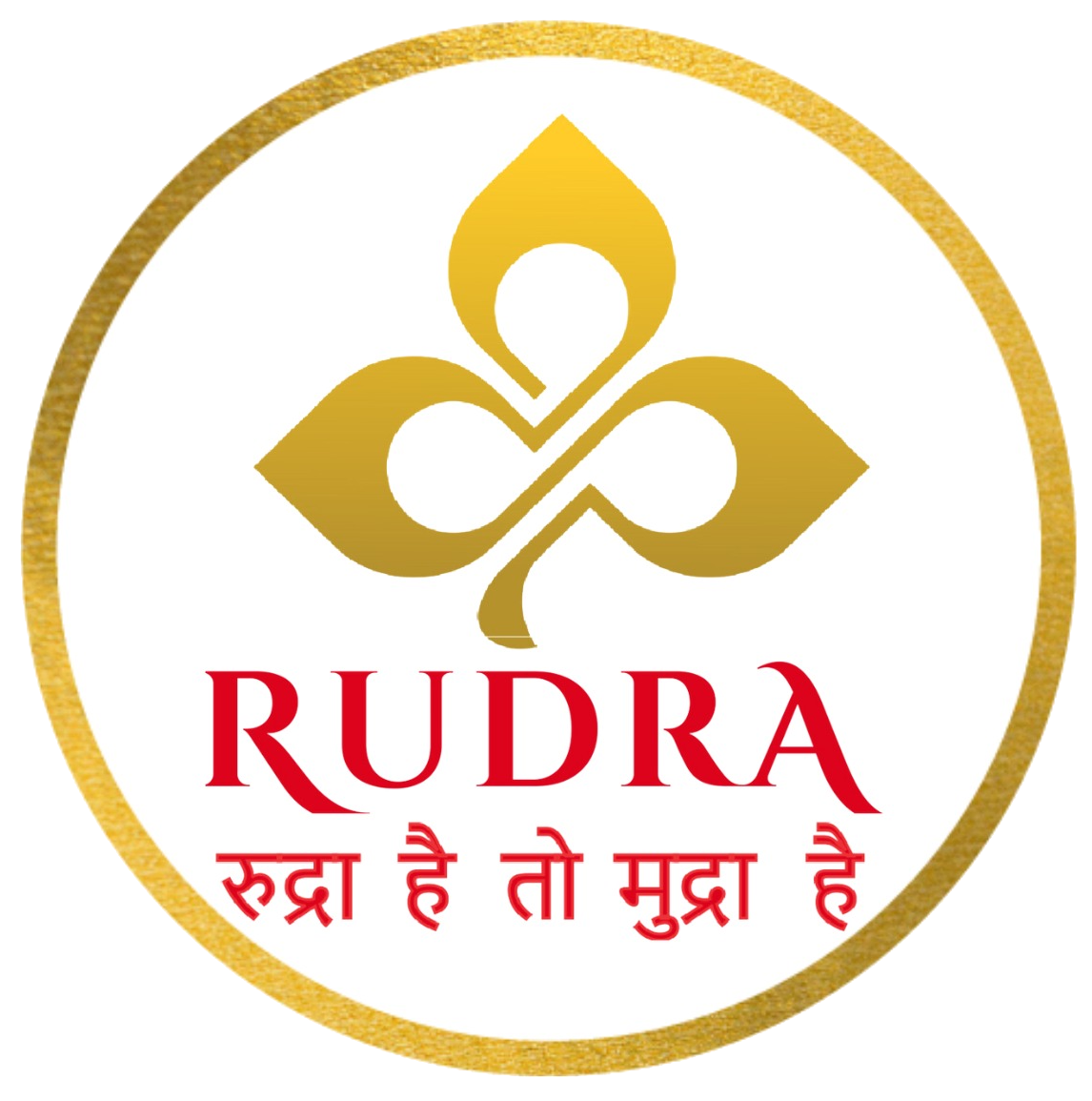 rudra shares & stock brokers ltd | financial services in kanpur