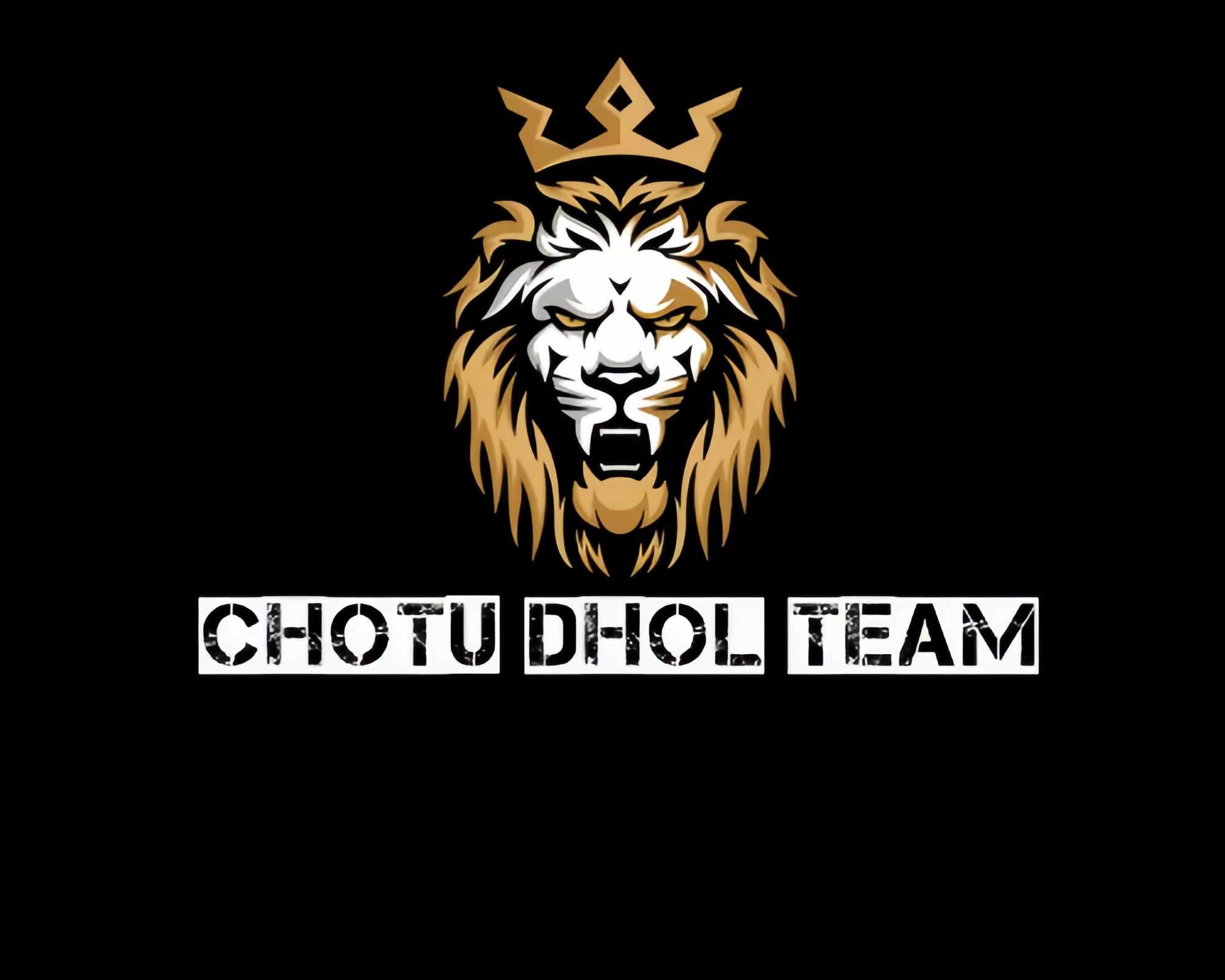 chotu dhol team | events and wedding planner in rudrapur