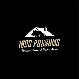 1800possums | pest control services in balaclava