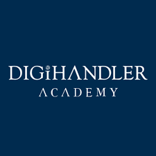 digihandler academy - digital marketing institute in rohtak | academy in rohtak