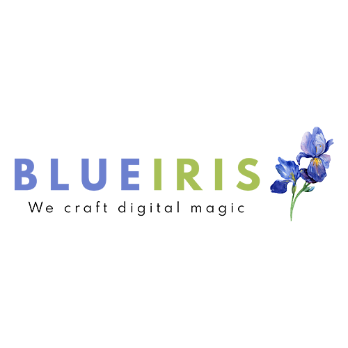 blueiris | digital marketing in mumbai