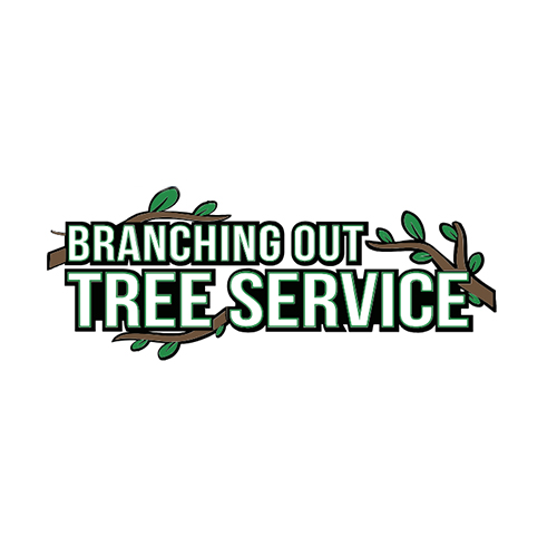 branching out tree service | tree cutting services in copiague