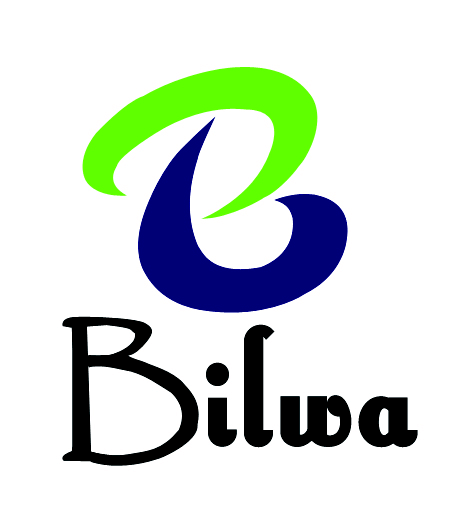 bilwagroup | digital marketing in erode