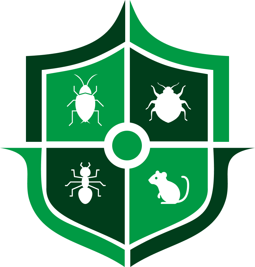 vsg pest control | pest control services in mumbai