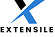 extensile pvt ltd | digital marketing in pune